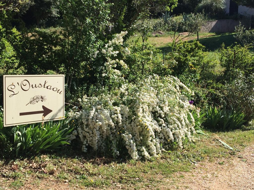 L'Oustaou B&B Piscine & Spa Besse-sur-Issole Eksteriør bilde